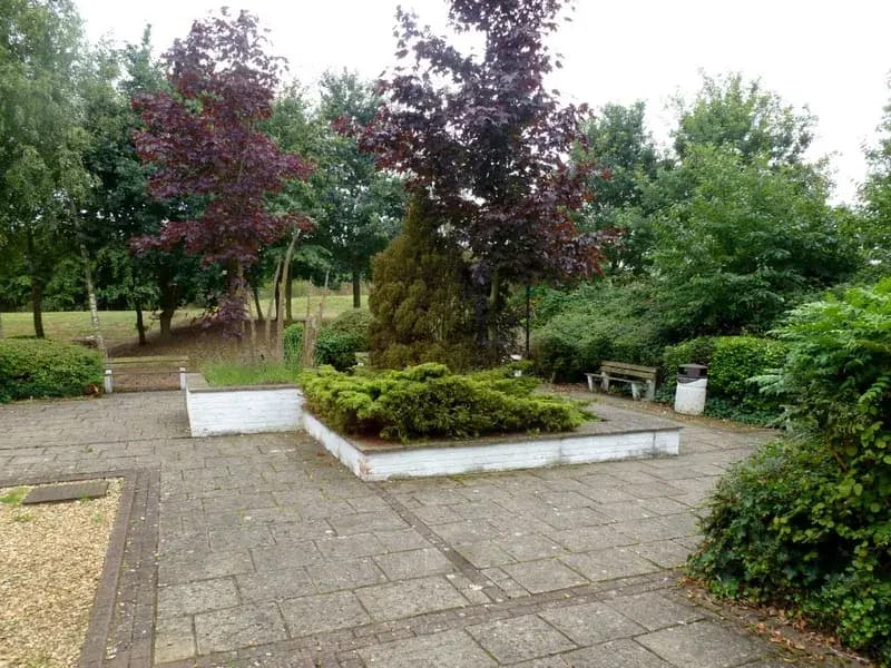 Backyard & Landscaping