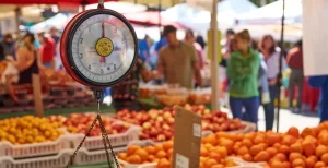 Campbell Farmer's Market, CA