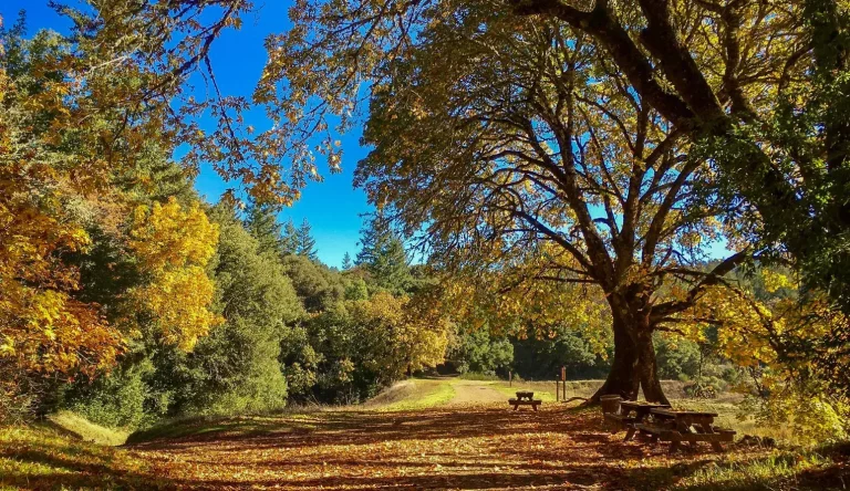 Saratoga, CA