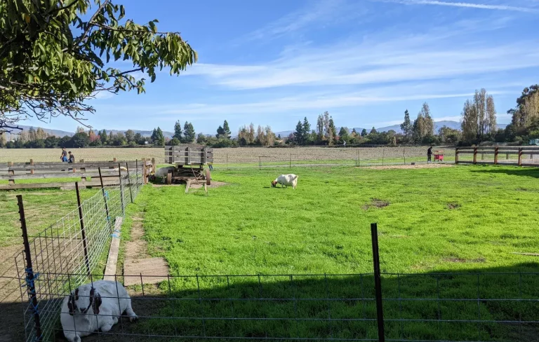 Newark, CA