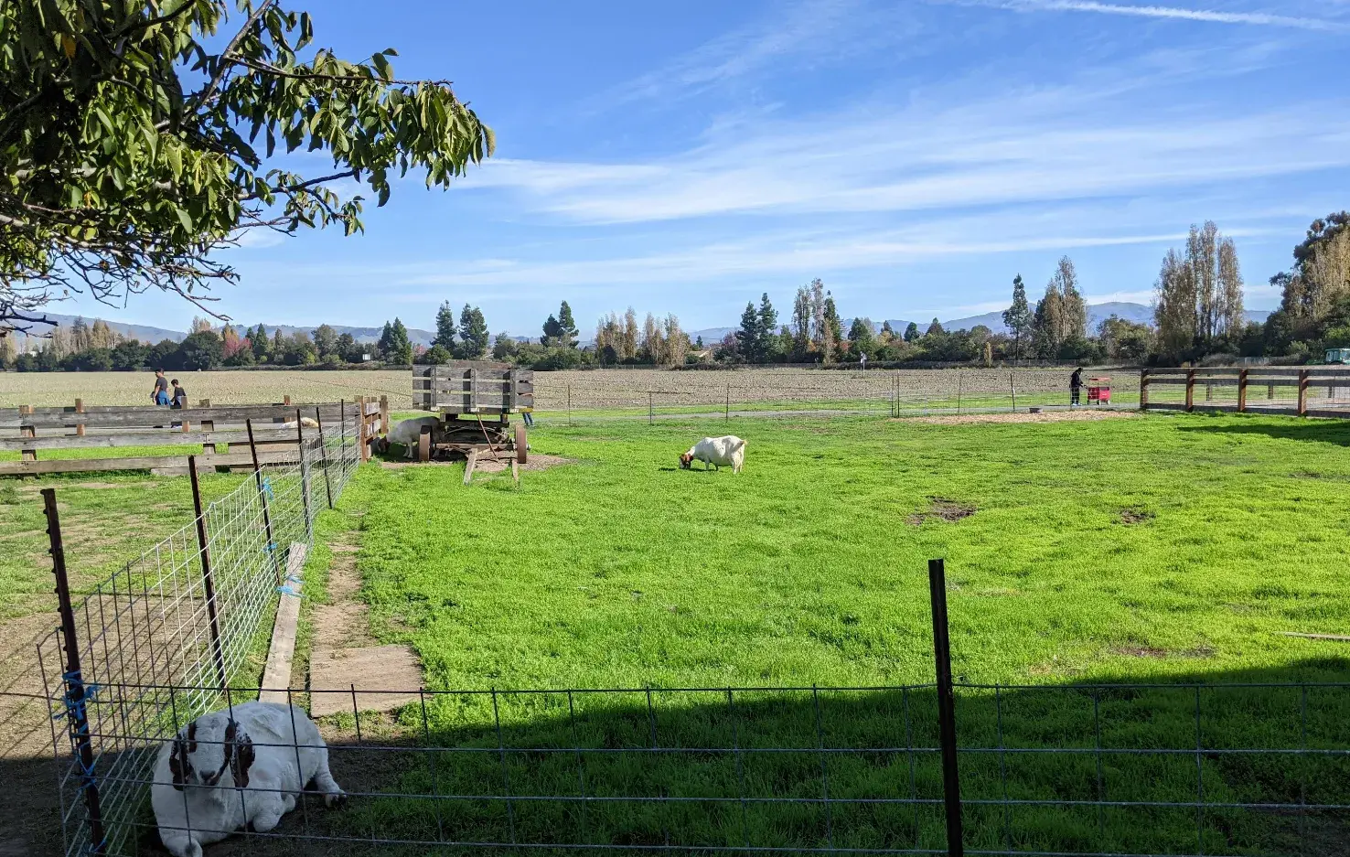 Newark, CA